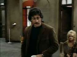 butterflies are free